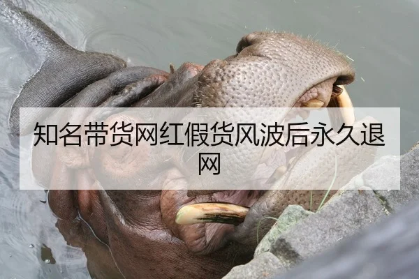 知名带货网红假货风波后永久退网